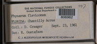 Image Associated With the Occurence
